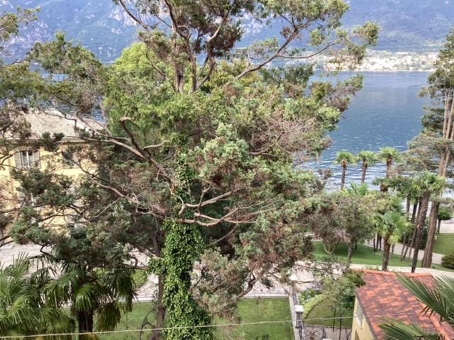Wonderful Lake Front Appartment Near Bellagio Limonta Luaran gambar